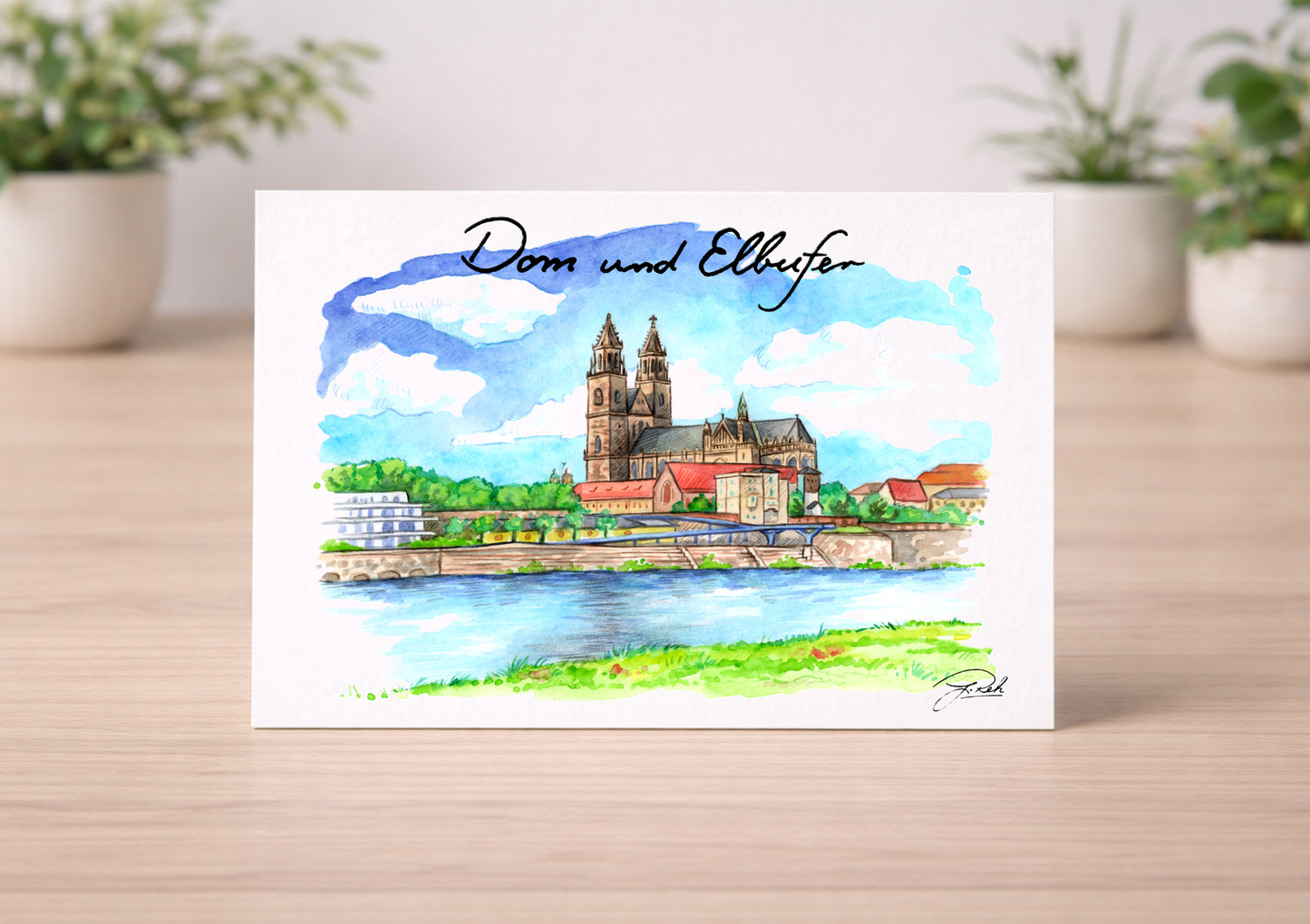 Postkarte - Dom und Elbufer - Mein Shop