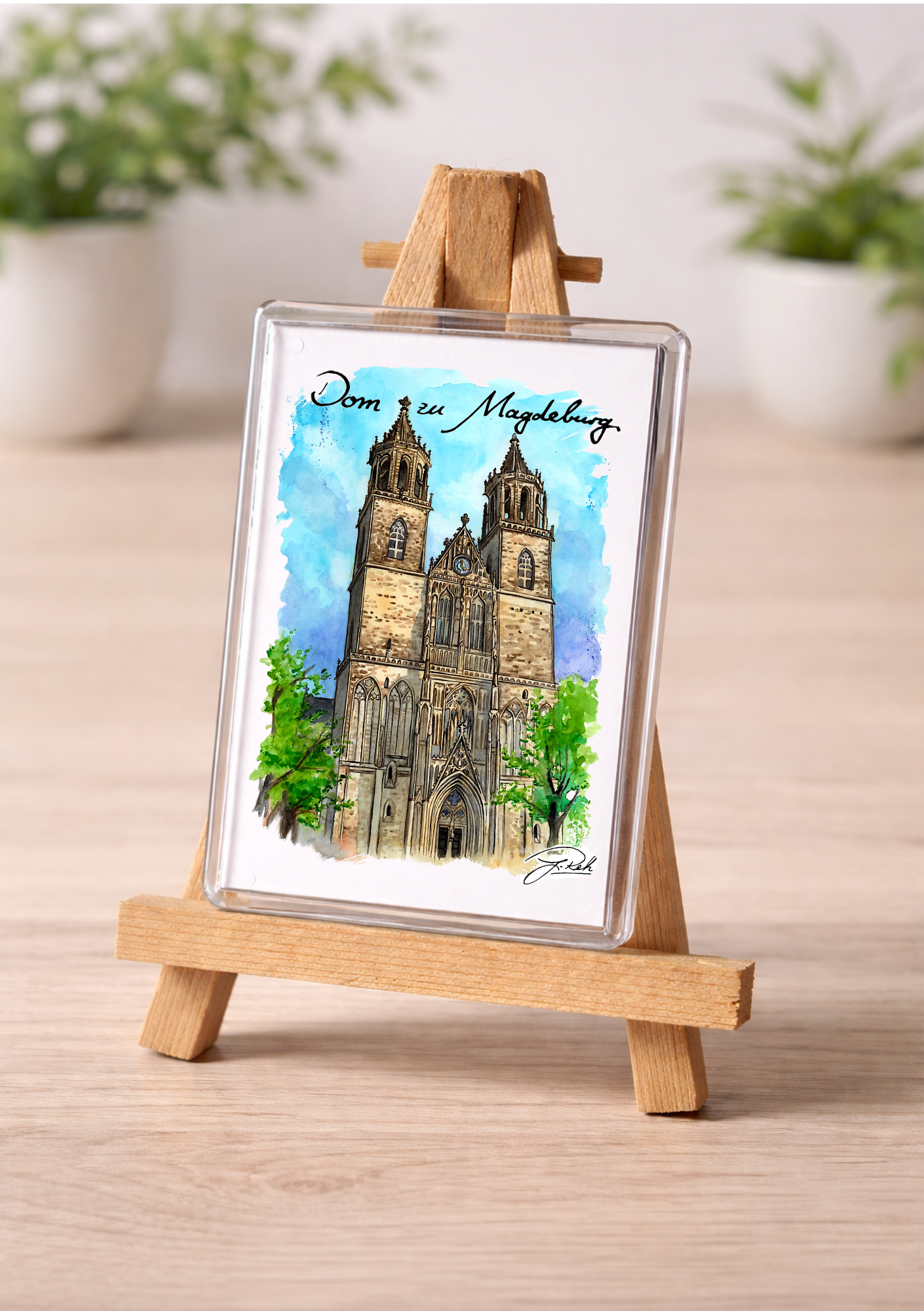 Magnet - Magdeburger Dom - Mein Shop
